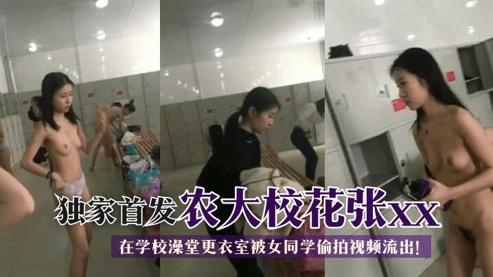 欧洲v亚洲v国产v,国产精品一区二区在线观看