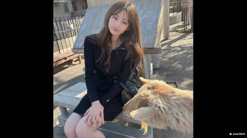 黄色性感丝袜美女免费啪啪视频,1234无码毛片